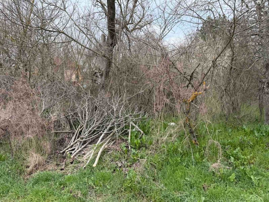 Продава се Парцел в с. Братя Даскалови, Област Стара Загора - 1150 кв.м за 4 €/кв.м - Снимка #4