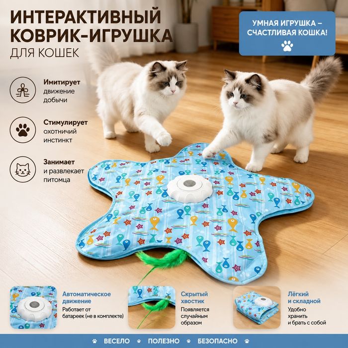Разные вещи, обувь, игрушки для животных.