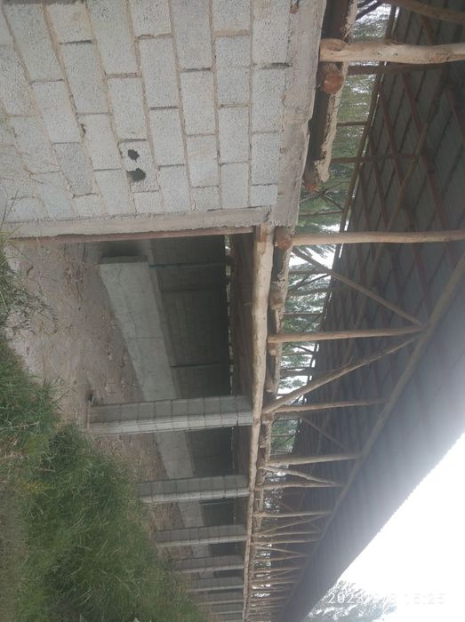 30 та корамол бокишга мулжалланган, кичик ферма сотилади