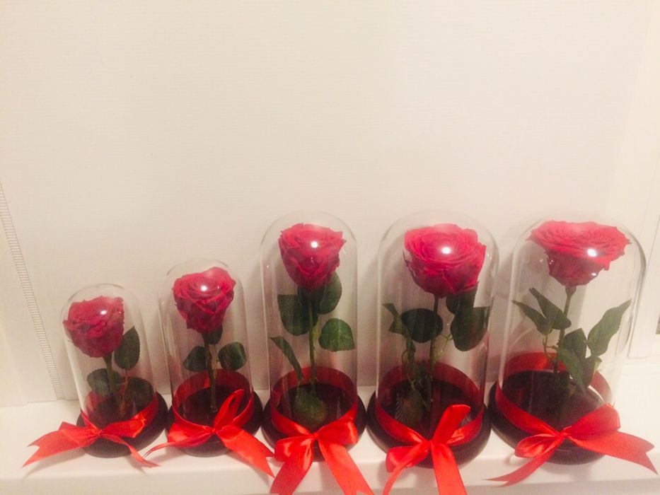 Trandafir criogenat conservat ideal pt cadou iubita sotie