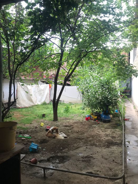 Продаётся участок под строительство срочно ! Торг уместен