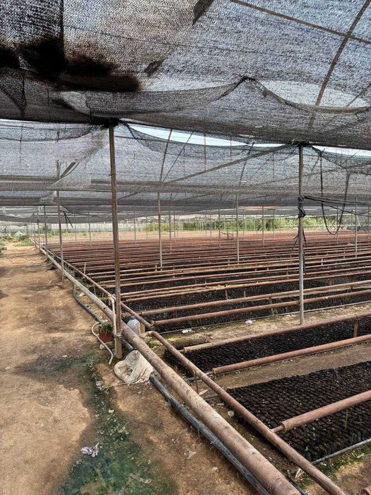 Иссикхона сотилади