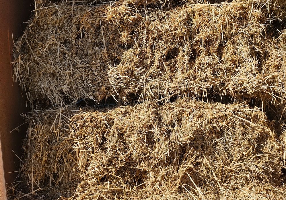 Чисти Бали люцерна