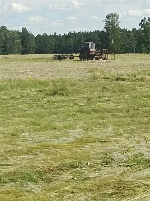 Продам трактор т-16