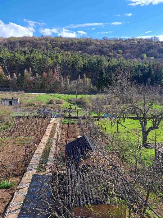 Продава се Къща в с. Синаговци, Област Видин - 200 кв.м за 410 €/кв.м - Снимка #12