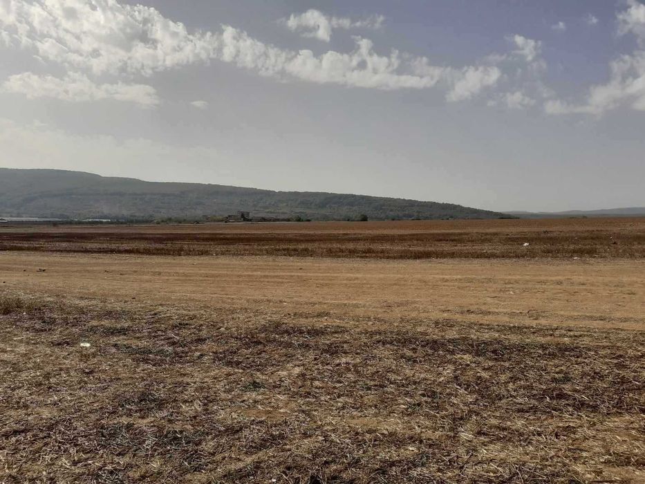 Продава се Парцел в Долни чифлик - 893 кв.м за 15 €/кв.м - Снимка #1