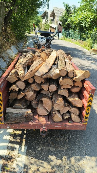 Vând motocultor 15 cai cu remorca