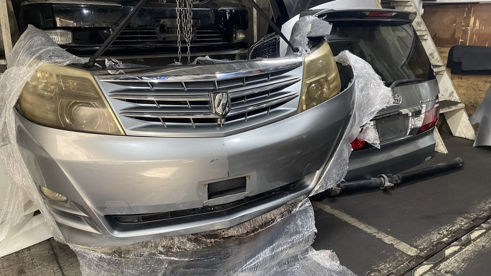 Ноускат для Альфард