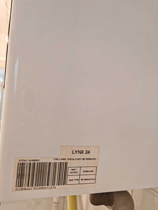 Centrala termica functionala Protherm Lynx