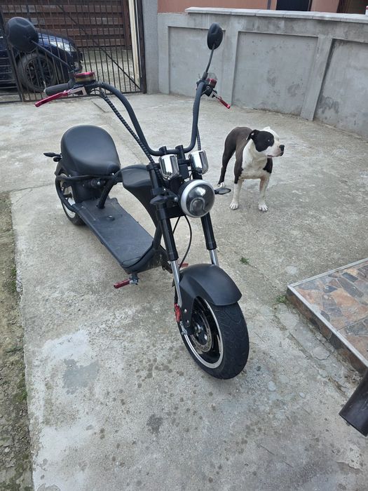 Scuter electric fara permis