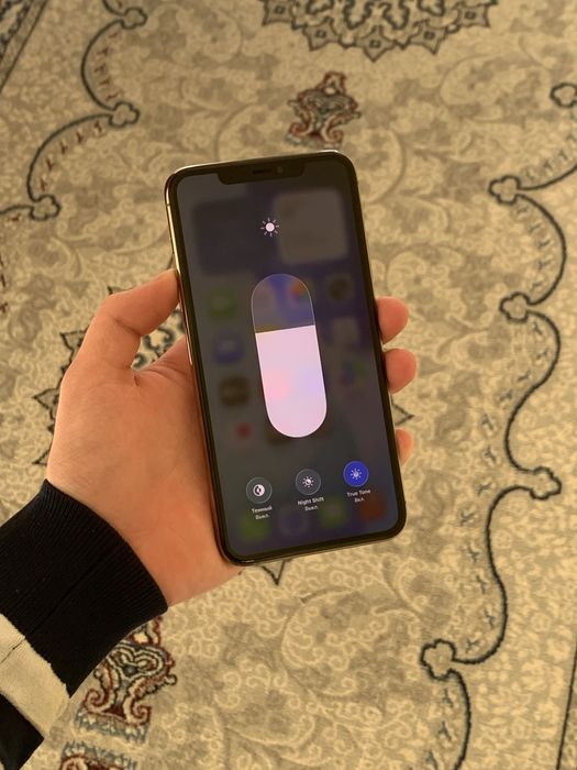 iPhone 11 pro max ideal