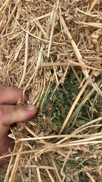 Люцерна големи бали