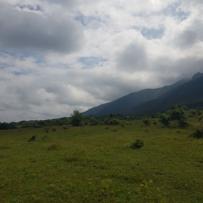 Продава се Парцел в Сапарева баня - 2500 кв.м за 6 €/кв.м - Снимка #1