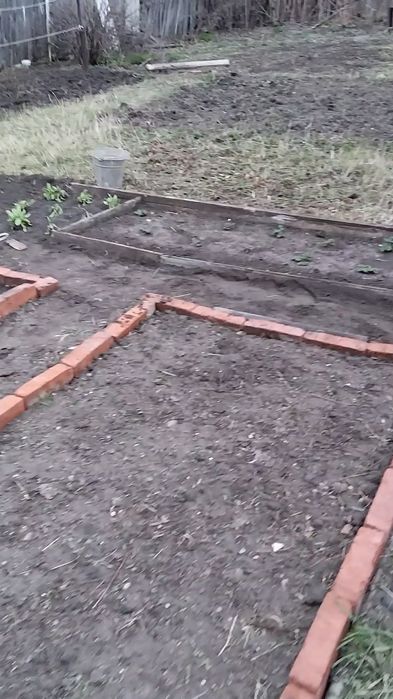 Дача на 19 маршруте