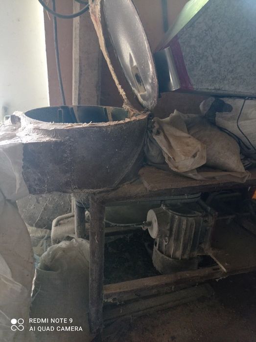 Ярмомелка и абрих