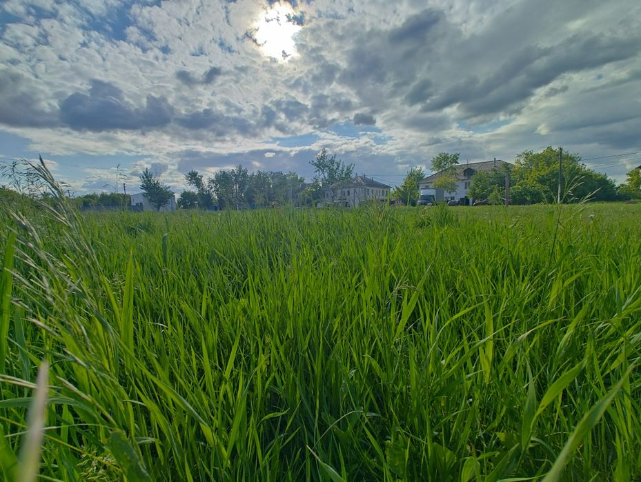 ZTE Nubia Z50 12/256