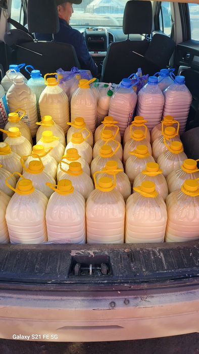 Порно: Мен Ленаны ұрамын