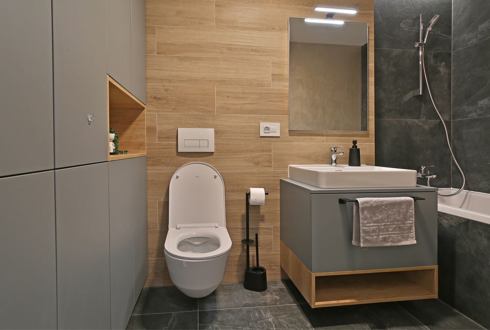 Cazare Coresi Regim Hotelier Brasov Apartament