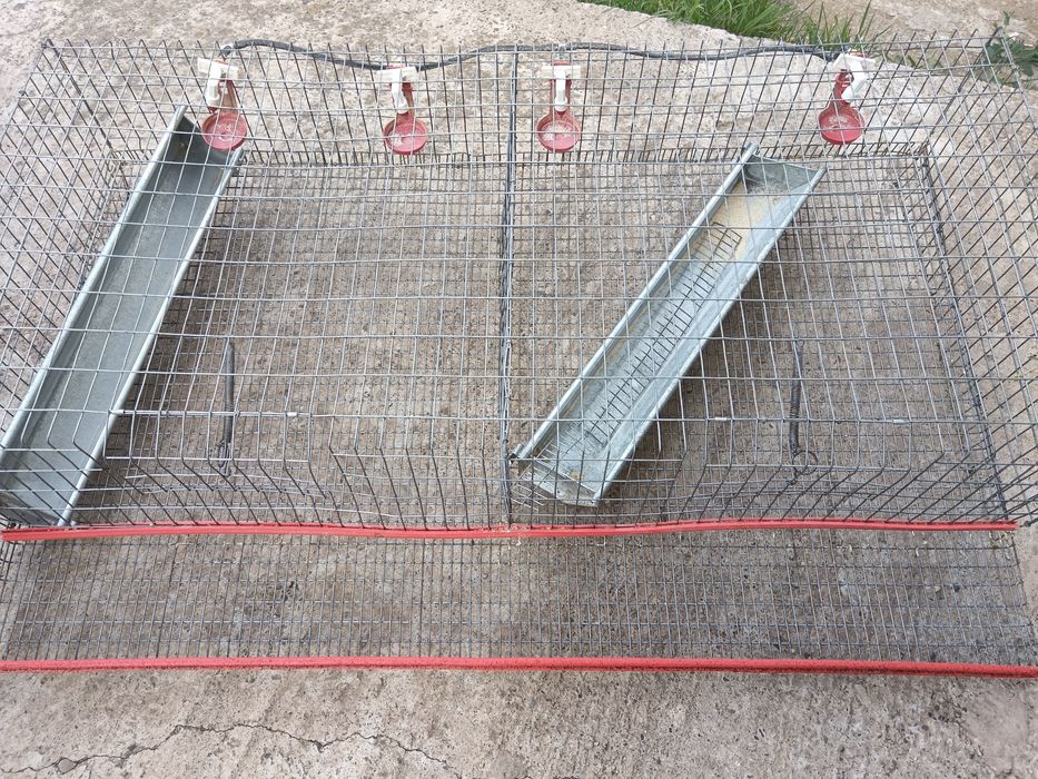 Cusca prepelite ouatoare de 80/ Cusca crestere tineret prepelite/gaina