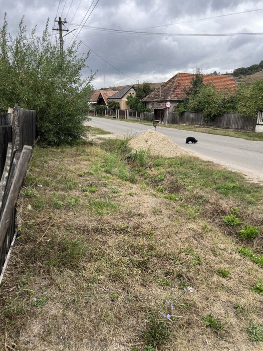 Proprietar vând teren intravilan in apropiere de Cluj-Napoca