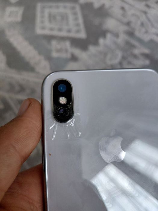 iPhone X 256/100%