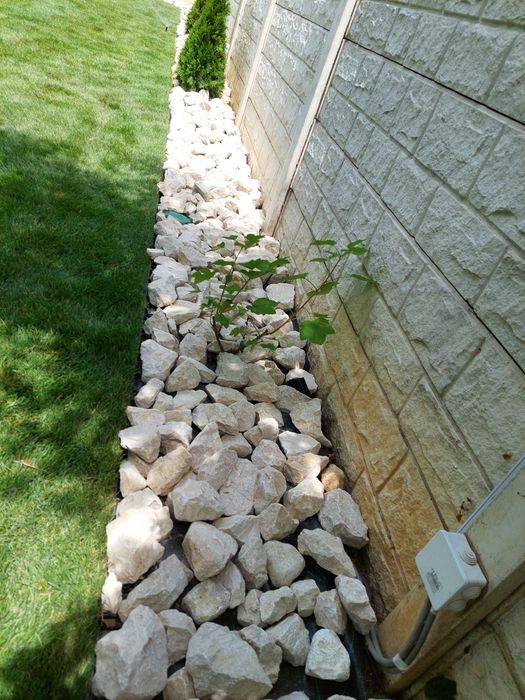 Gazon rulou și insamantare