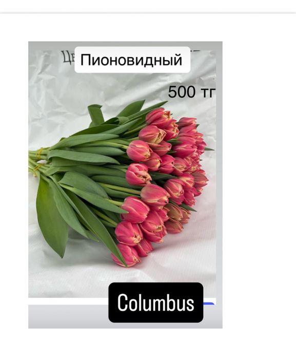 Тюльпаны оптом к 8 марта