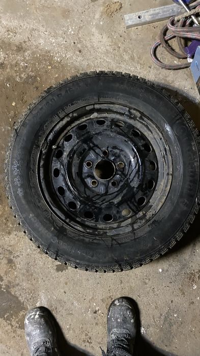 покрышки шиповный