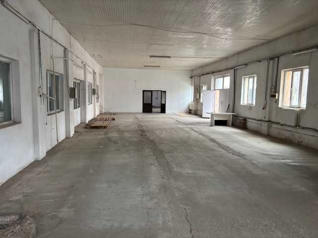 INCHIRIEZ HALE 80,100,170 mp