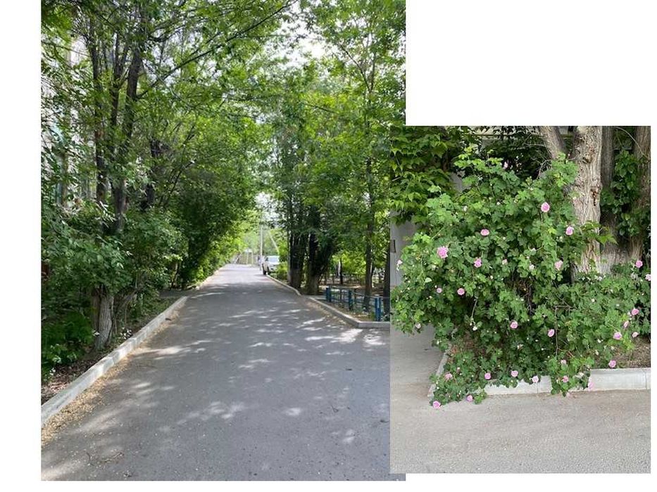 Продам 3х комнатную квартиру