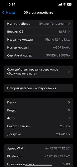 iPhone 12 Pro Max 256 ГБ