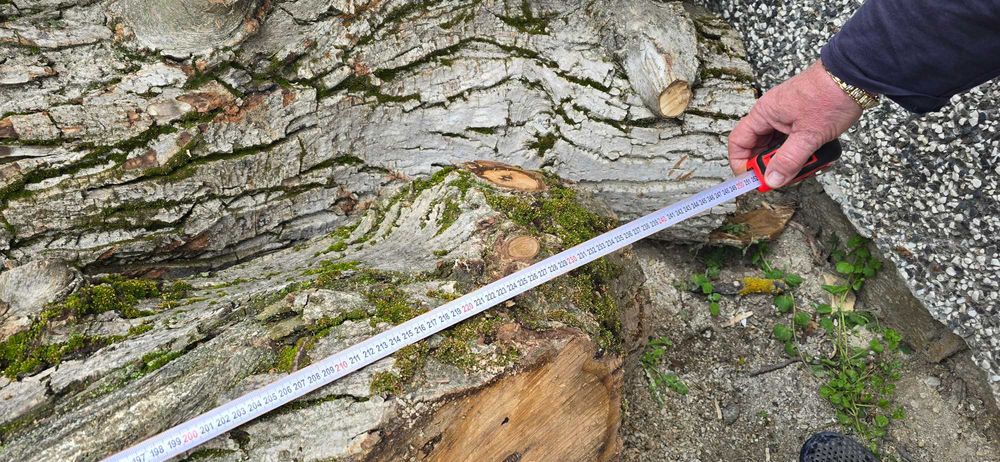 Орех, дървен материал.