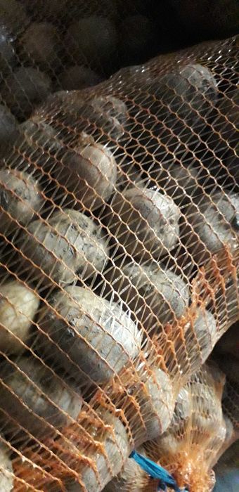 Vând cartofi de mâncat!