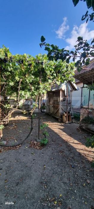Casa cu 3 camere, anexe, curte si gradina