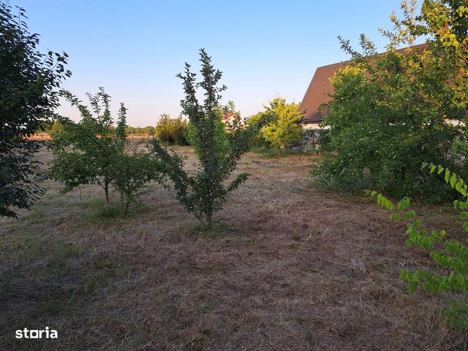 Vanzare teren intravilan imprejmuit 800mp Buftea
