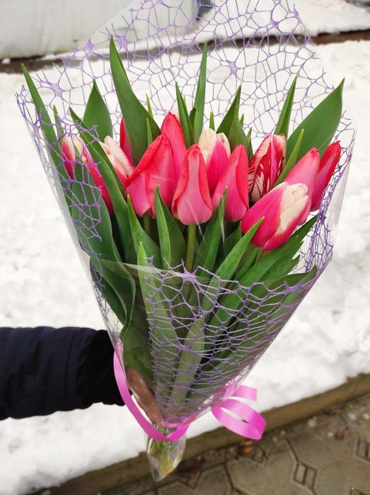 Продаем тюльпаны оптом и в розницу