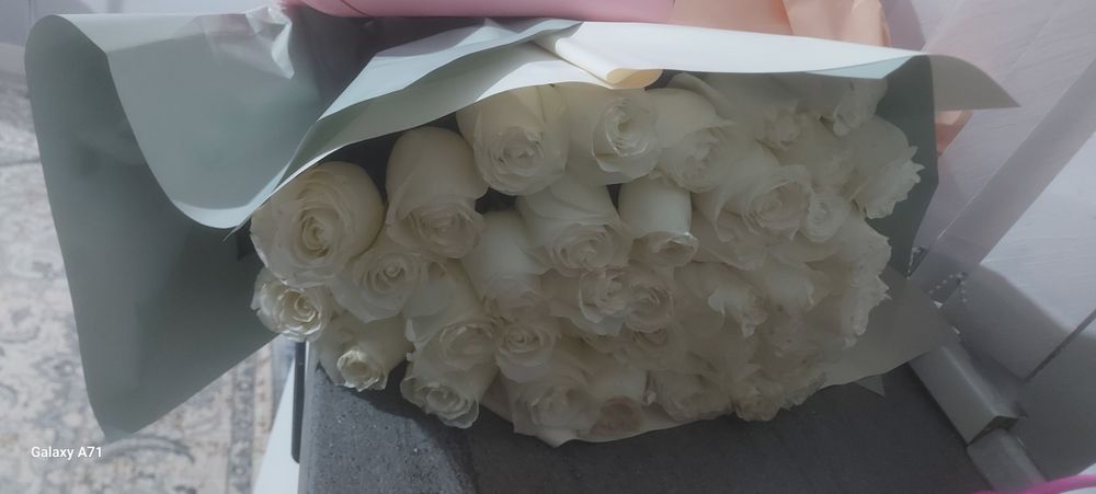 Цветы б/у шанырак 2 адрес