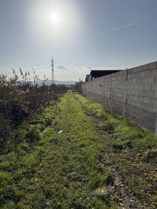 Продава се Парцел в с. Тополи, Област Варна - 9500 кв.м за 16 €/кв.м - Снимка #3