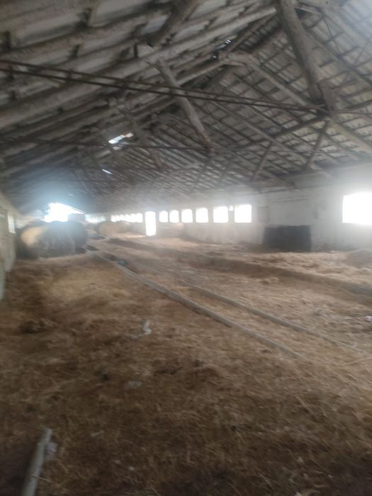 Vand ferma cu 2 grajduri (65 x 13)  fiecare. Suprafață totală 4500m2.