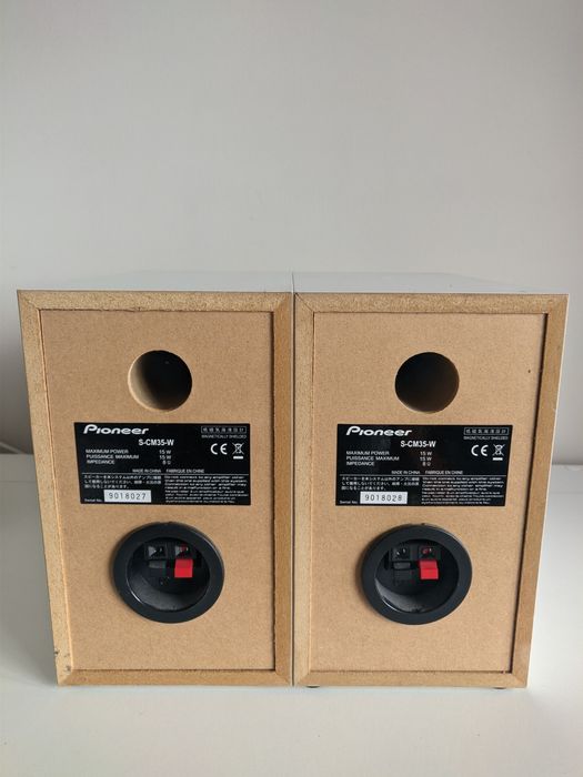 Тонколони Pioneer