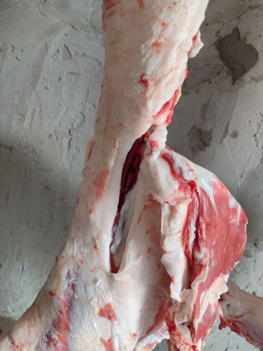 Продам баранов на мясо