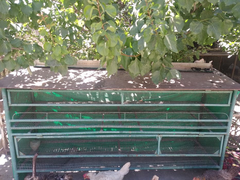 Продаётся клетка для куриц
