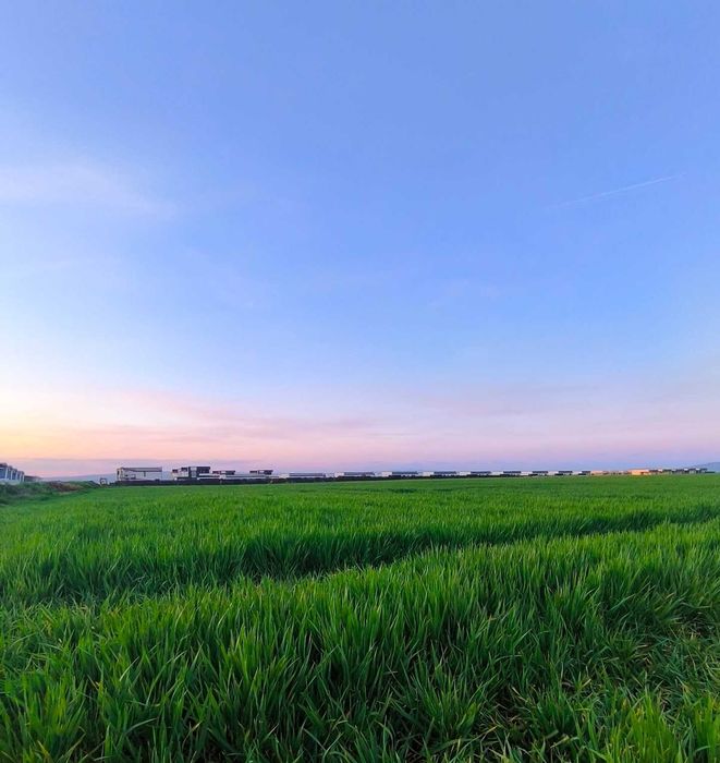 TEREN DE VANZARE 4.9 Hectare