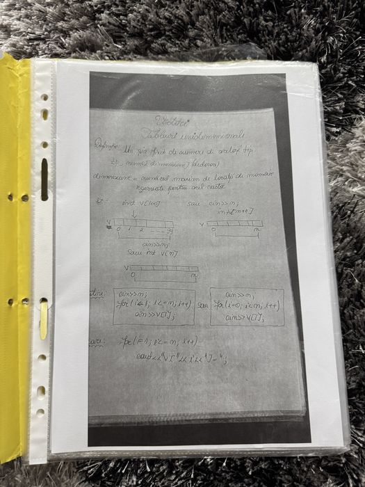 Portofoliu de informatica bac