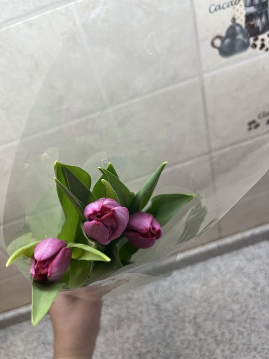 Тюльпан по 650тг шт