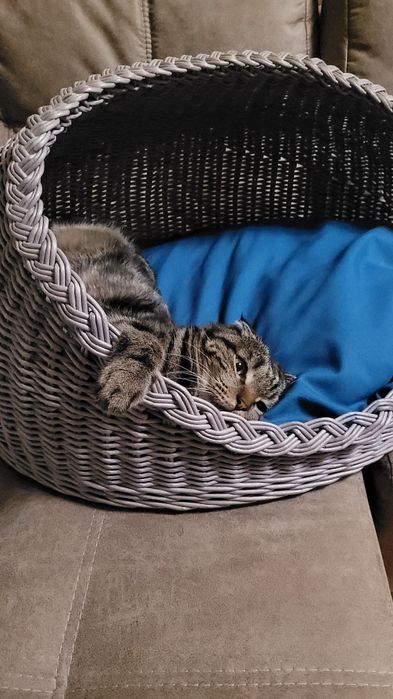 Лежанка для животных