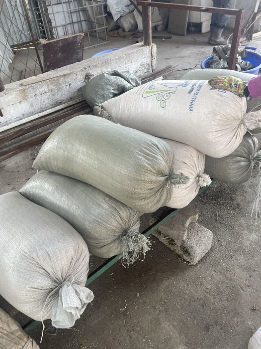 Корейская кукуруза