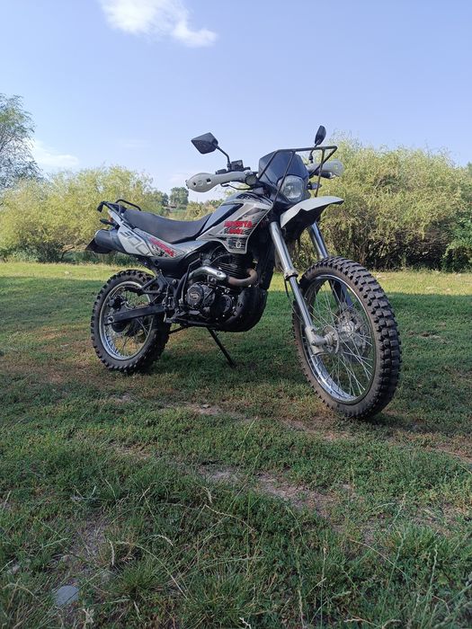 Рейсер пантера 300