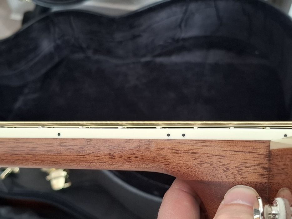 Vand Fender 220 PO full solid