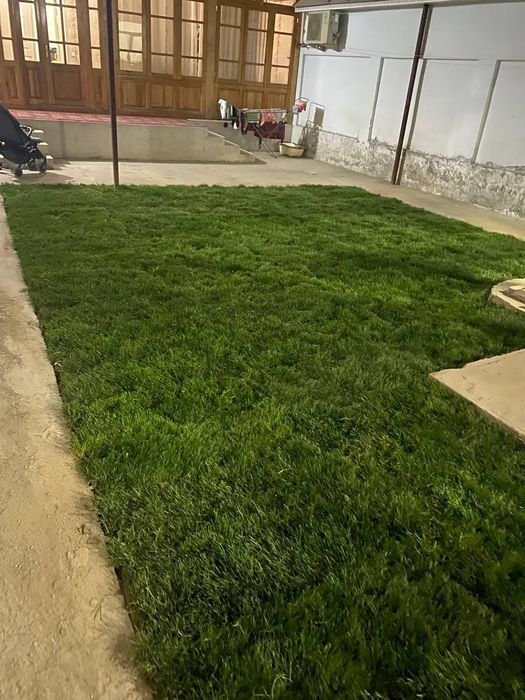 Tayyor rulon gazon poliv ustanovka